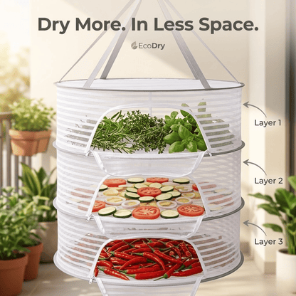 TidyNest - Smart Living Starts Here